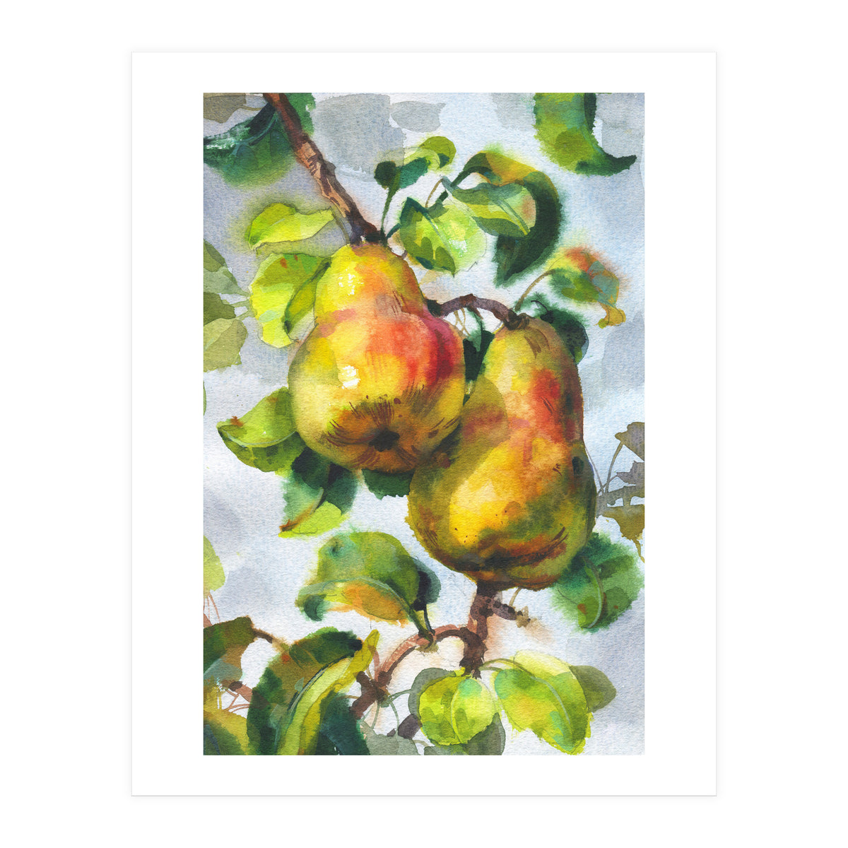 Pears (Print Only)