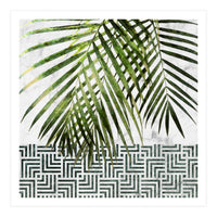Palm Leaves On White Marble And Tiles (Print Only)