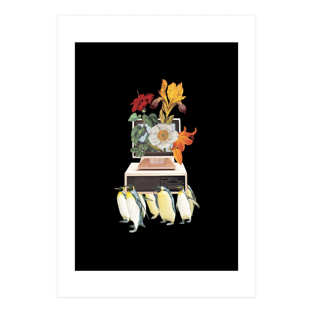 Penguin Os (Print Only)