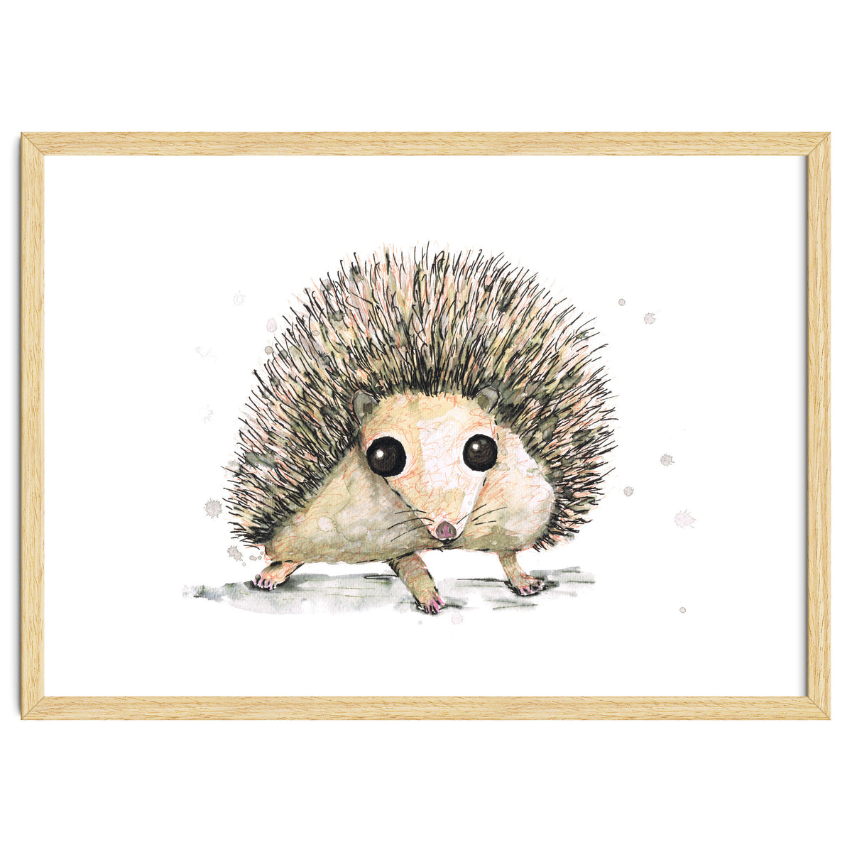 Hedgehog