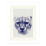 Lioness 2018 (Print Only) thumbnail