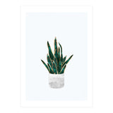 Snake Plant gold and green (Print Only) thumbnail