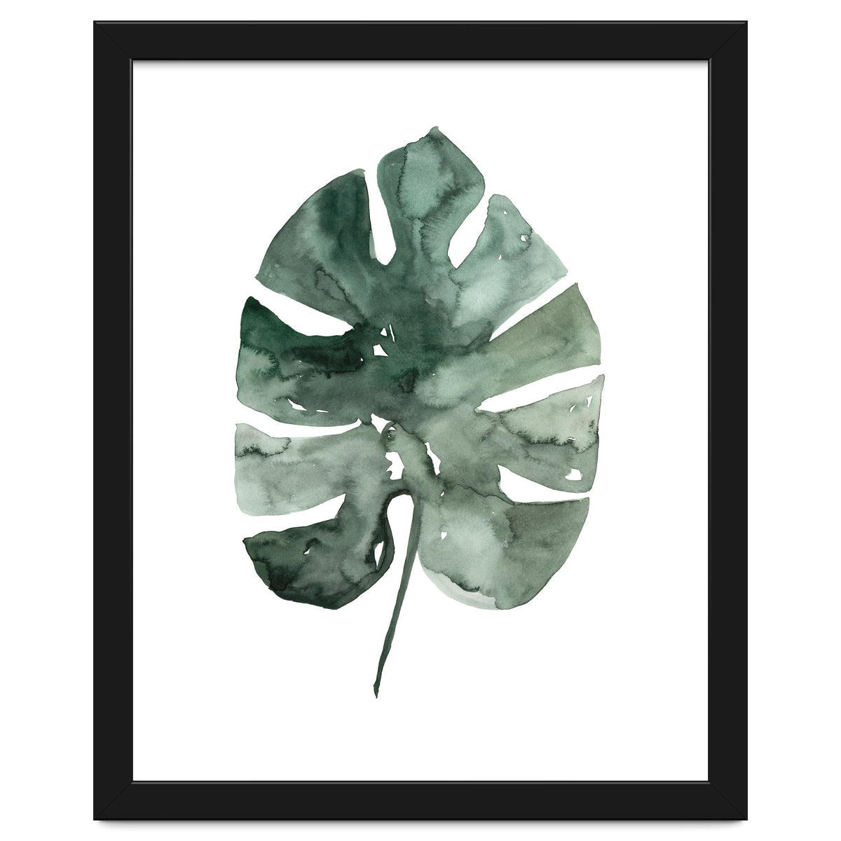 Botanical Illustration Monstera Leaf