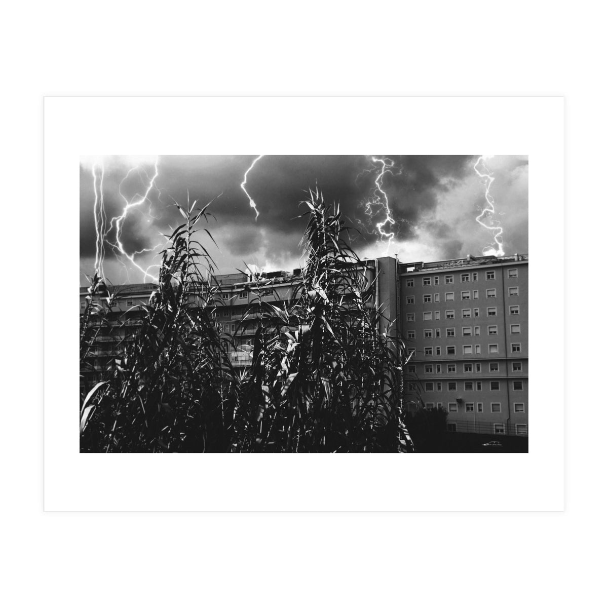 Thunderstorm in Tivoli (Print Only)