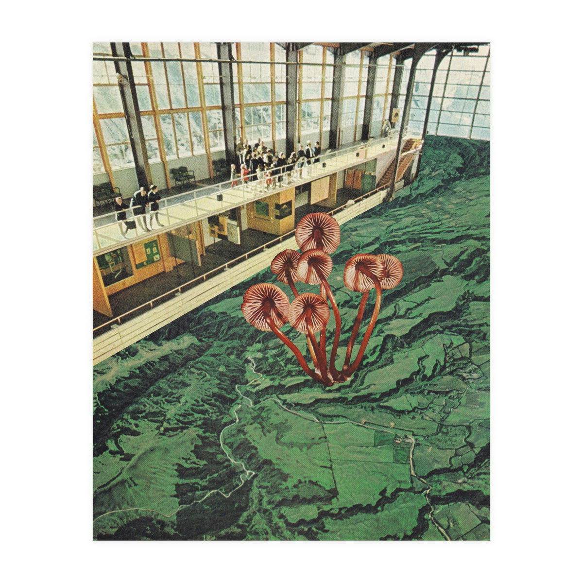 Mushroom Greenhouse (Print Only)