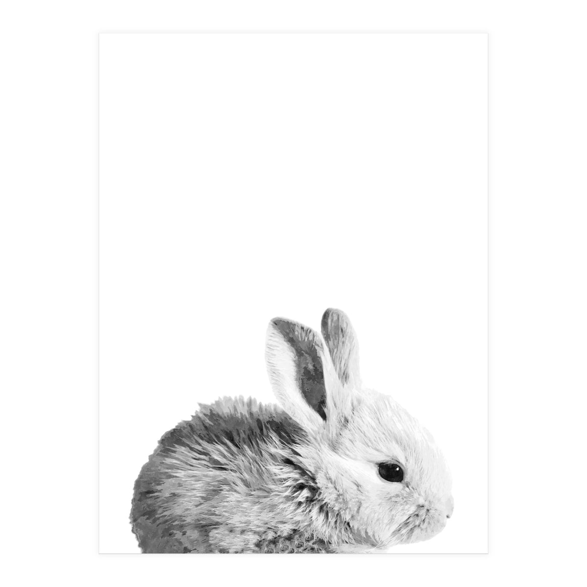 Black and White Bunny Portrait (Print Only)