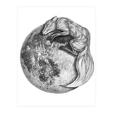 Moon Fox (Print Only) thumbnail