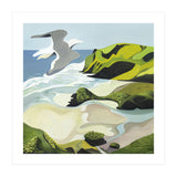 Gull Over Anawhata (Print Only) thumbnail