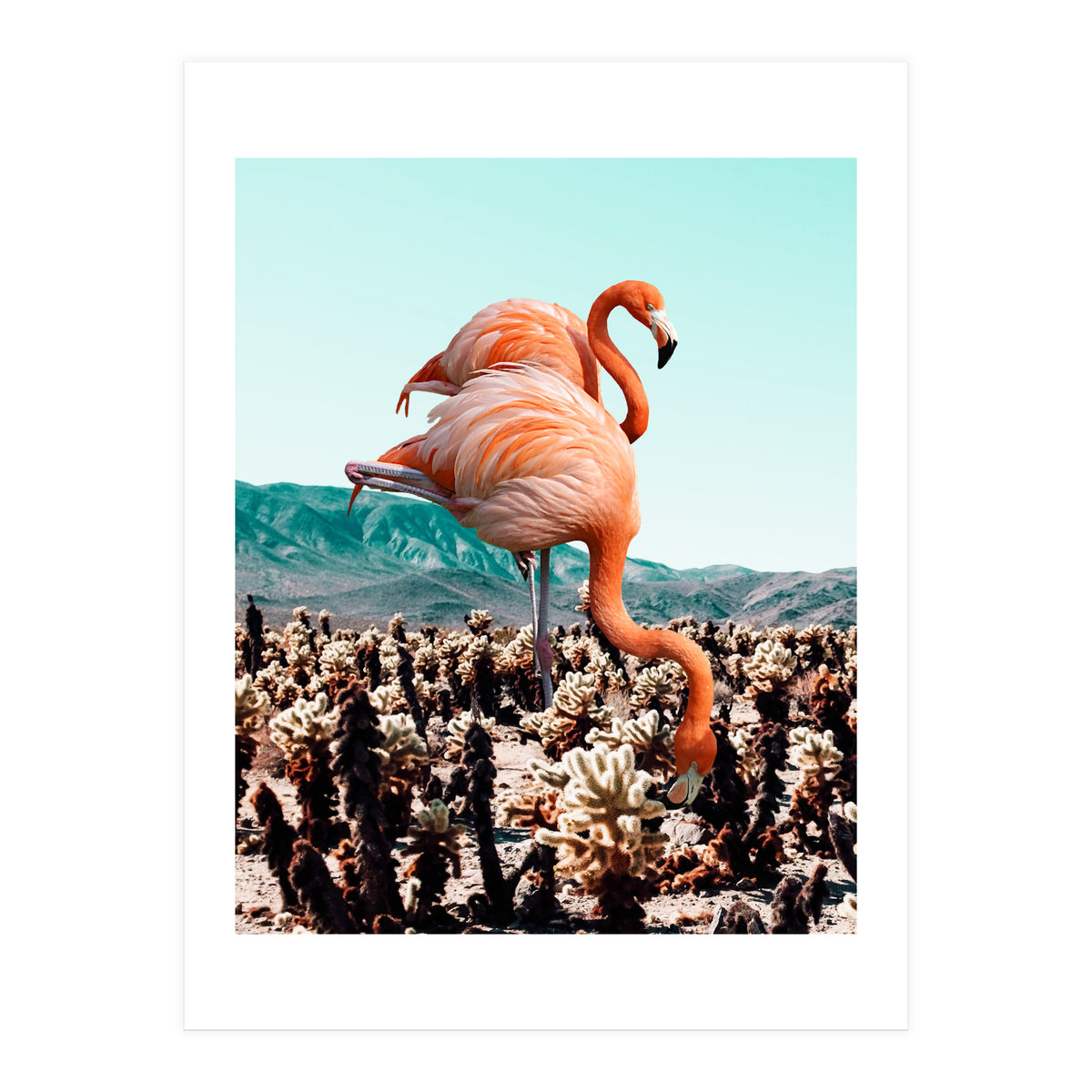 Flamingos In The Desert (Print Only)