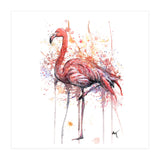 Flamingo - Wildlife Collection (Print Only) thumbnail