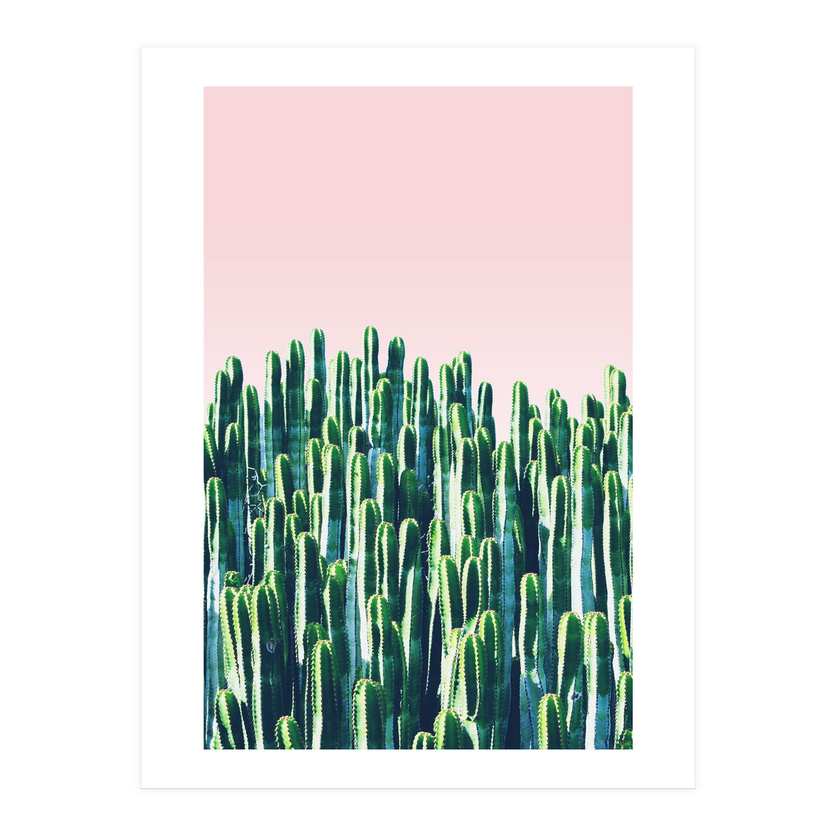 Cactus & Sunset II (Print Only)