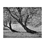 Bend over (Print Only) thumbnail