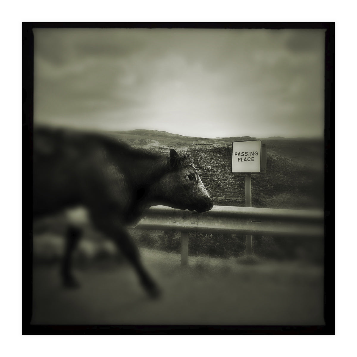 Struan Road (Print Only)