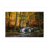 Selkewaterfal (Print Only) thumbnail