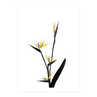 Flower Minimal Black And Gold 05 (Print Only)