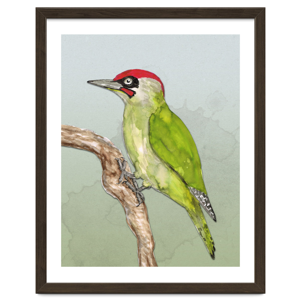 Green woodpecker