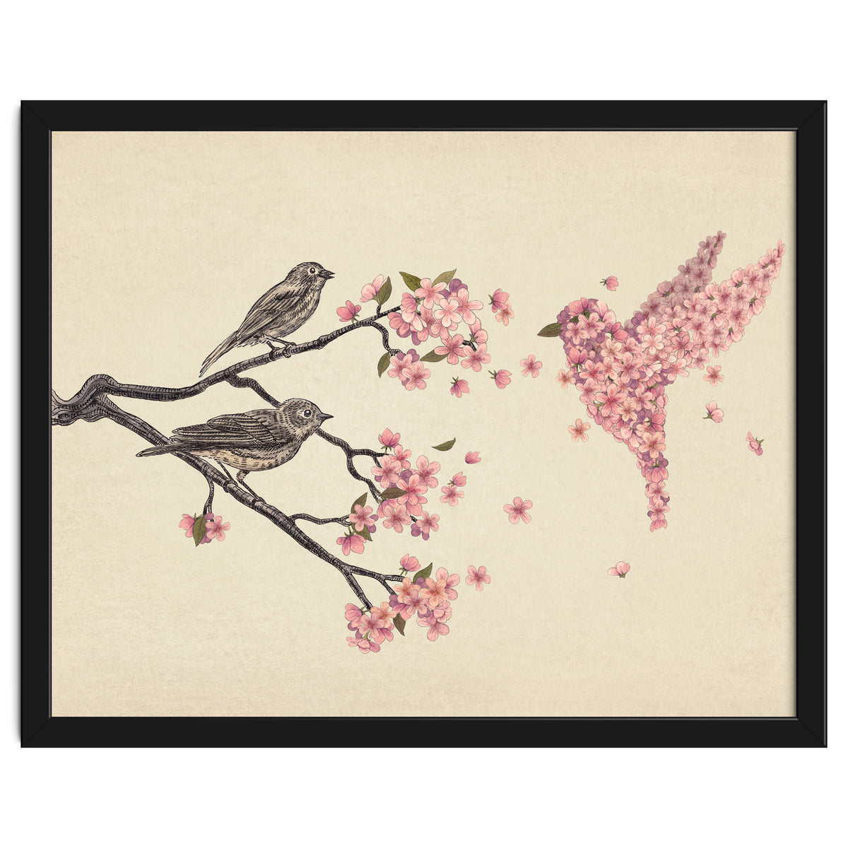 Blossom Bird