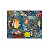 Sea Life Collage (Print Only) thumbnail