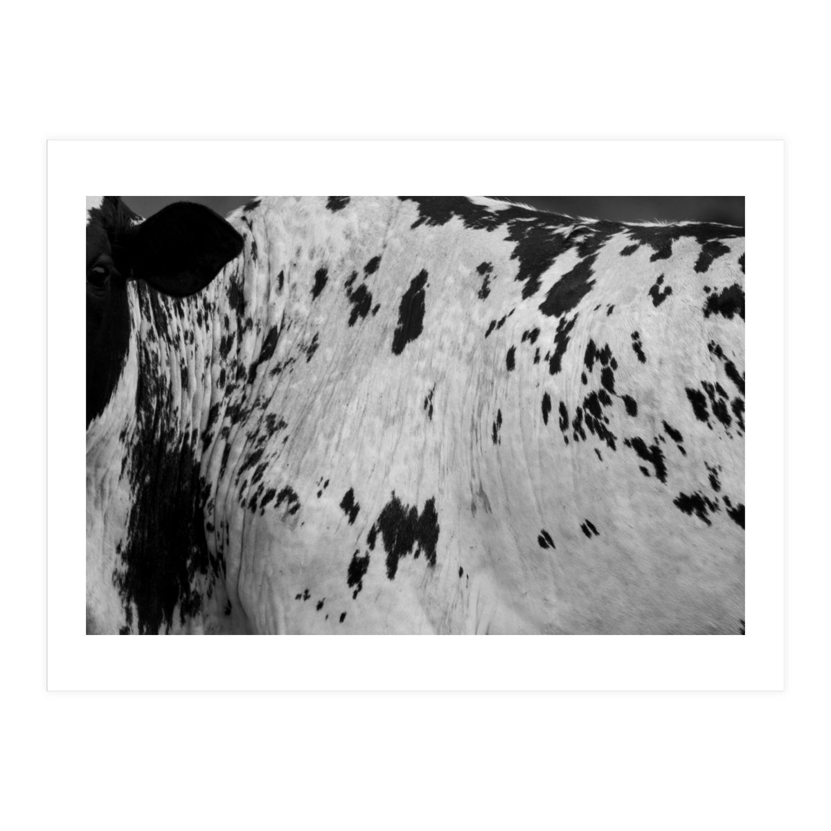 Abstract #3 (Print Only)