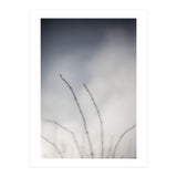Forgotten Memories of summer #18 (Print Only) thumbnail