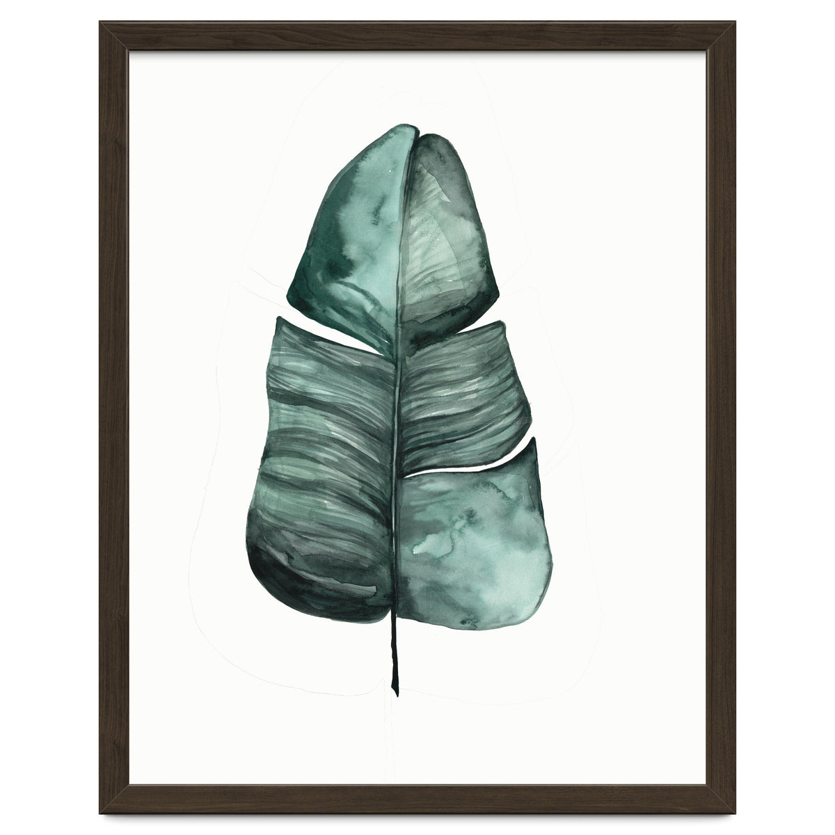 Botanical Illustration Banana Leaf
