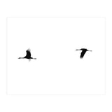 Crane(s) II (Print Only) thumbnail