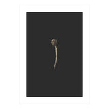 Simple Golden Botanical (Print Only) thumbnail