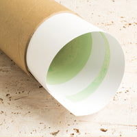 Florero Fondo Blanco (Print Only)