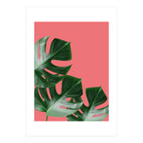 Tropical collage VI (Print Only) thumbnail