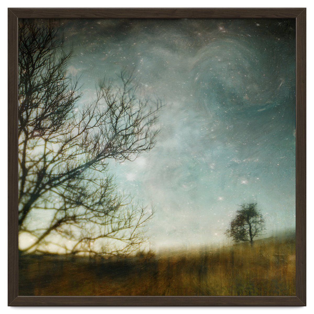 The Tree That Whispered