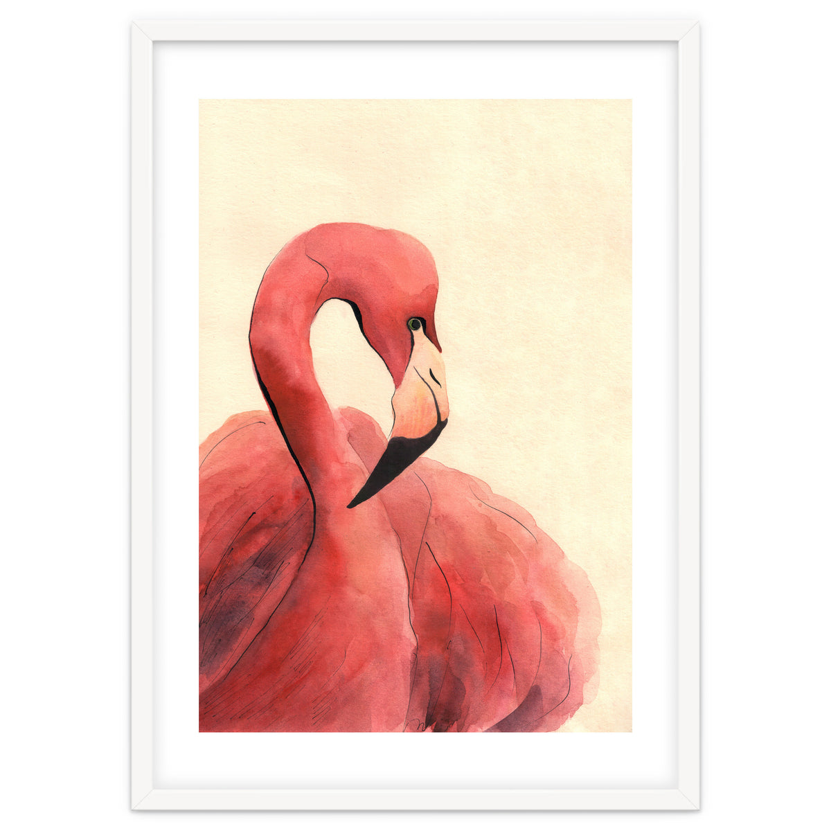 Flamingo
