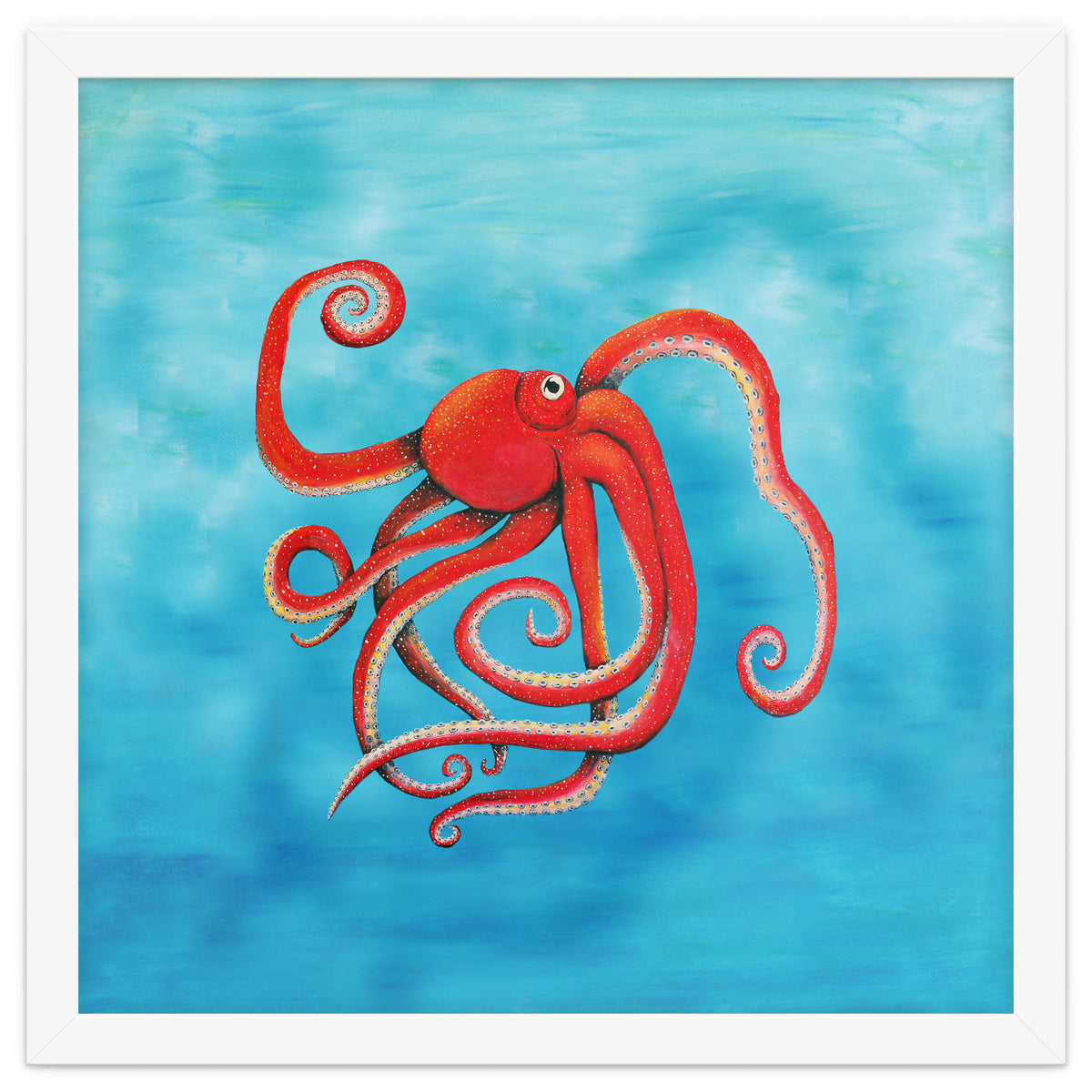 Octopus