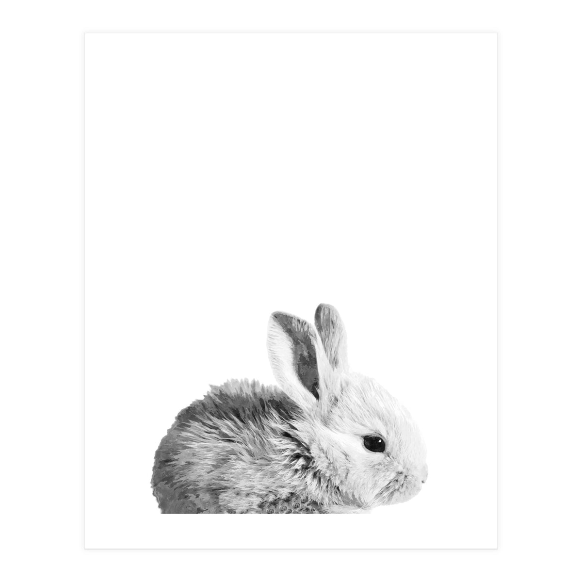 Black and White Bunny Portrait (Print Only)
