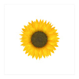 Watercolor Sunflower (Print Only) thumbnail