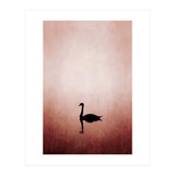 The Swan (Print Only) thumbnail