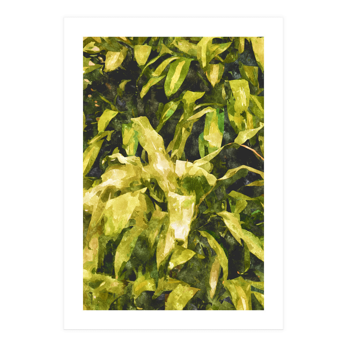 Green Nature (Print Only)