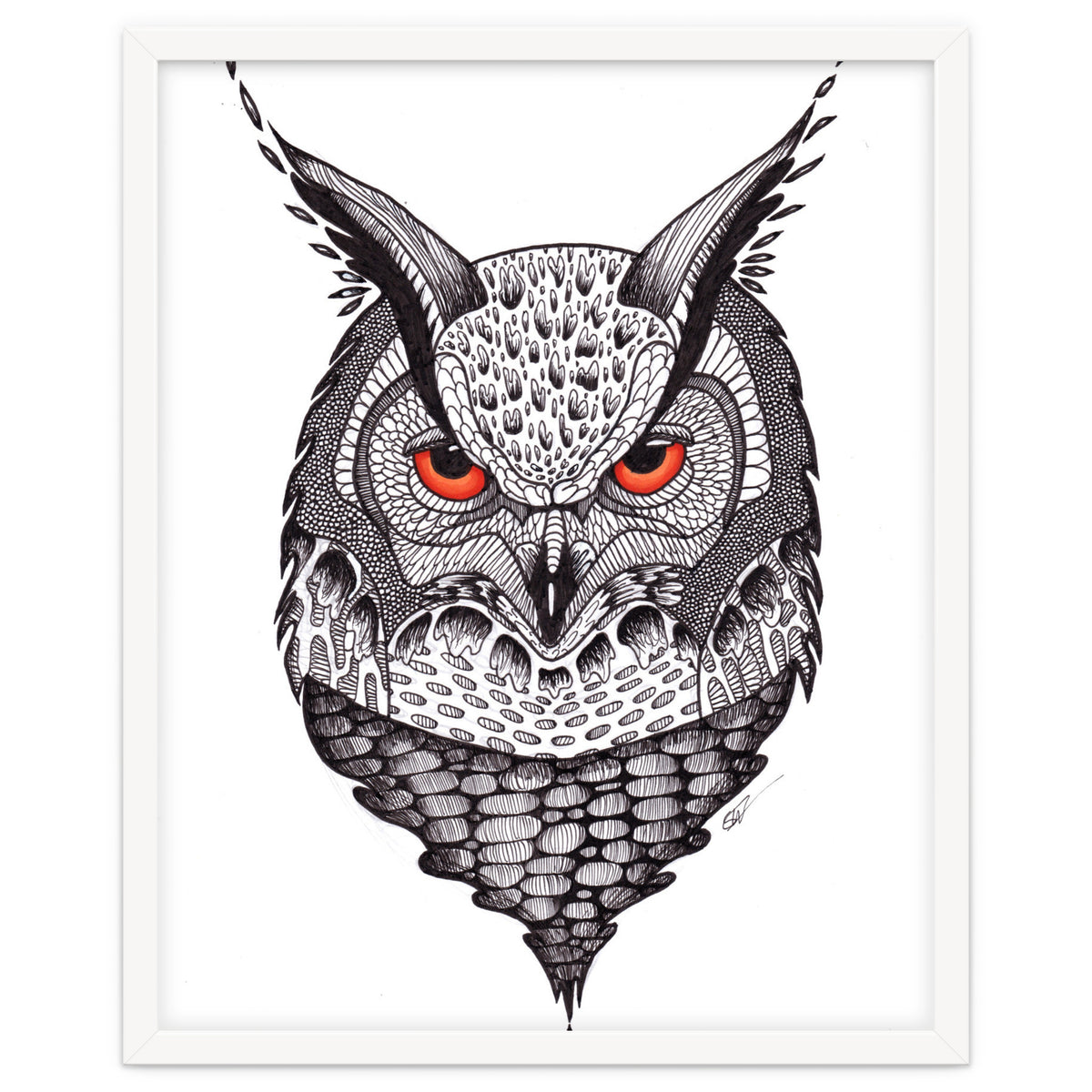 Owl