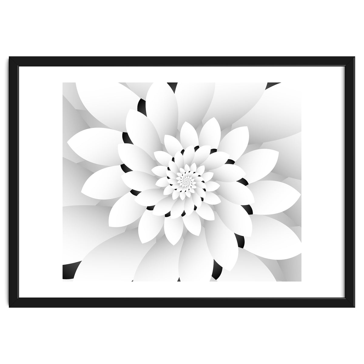 Monochrome Floral Design