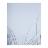 Forgotten Memories of Summer #20 (Print Only) thumbnail