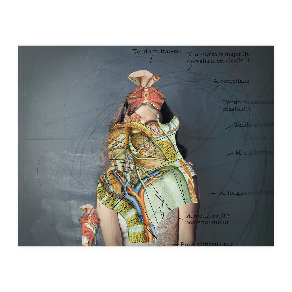 Crazy Woman 204 (Print Only)