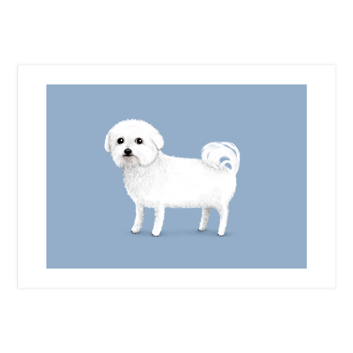 Bichon Frise (Print Only)