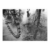 London Eye  (Print Only) thumbnail