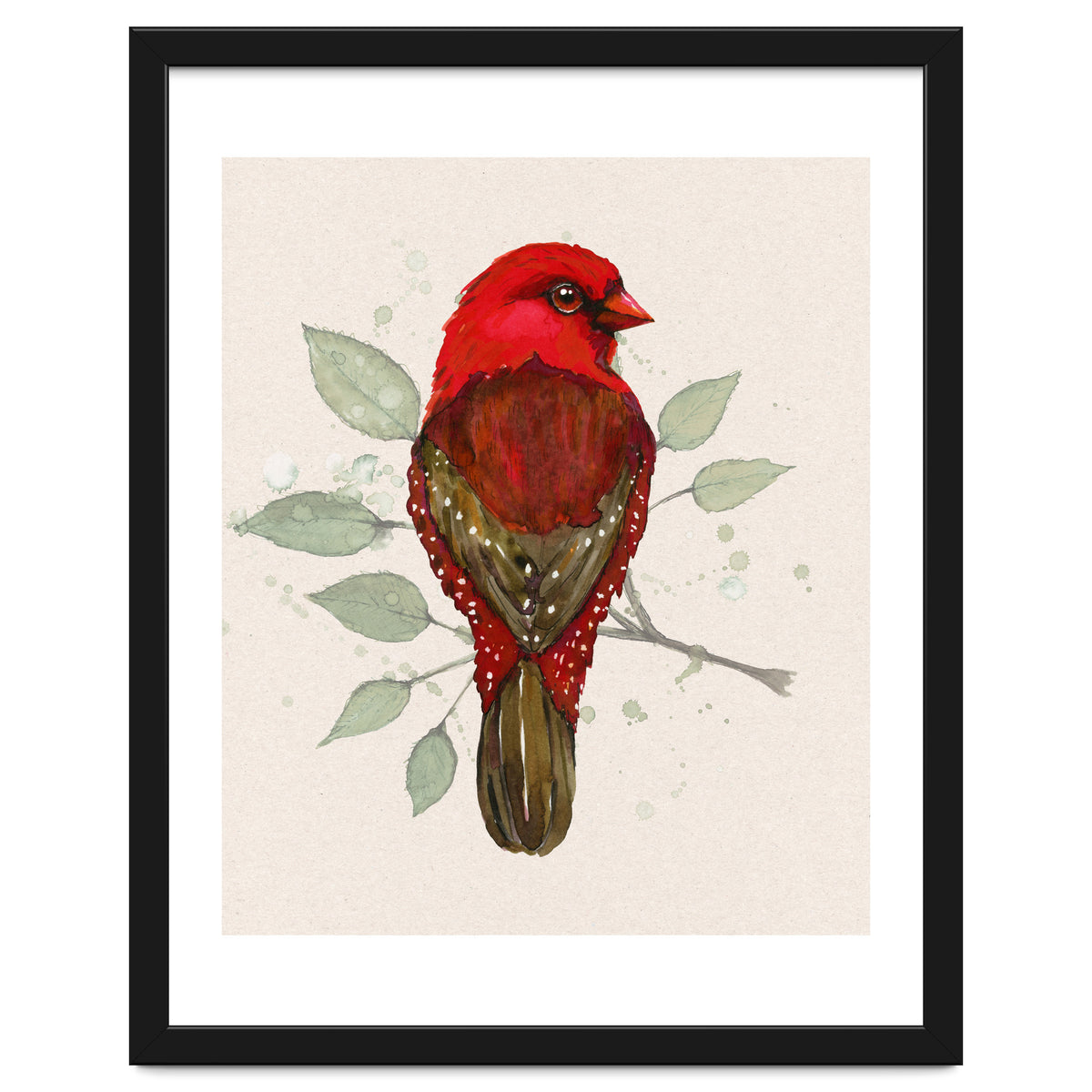 Red avadavat watercolor
