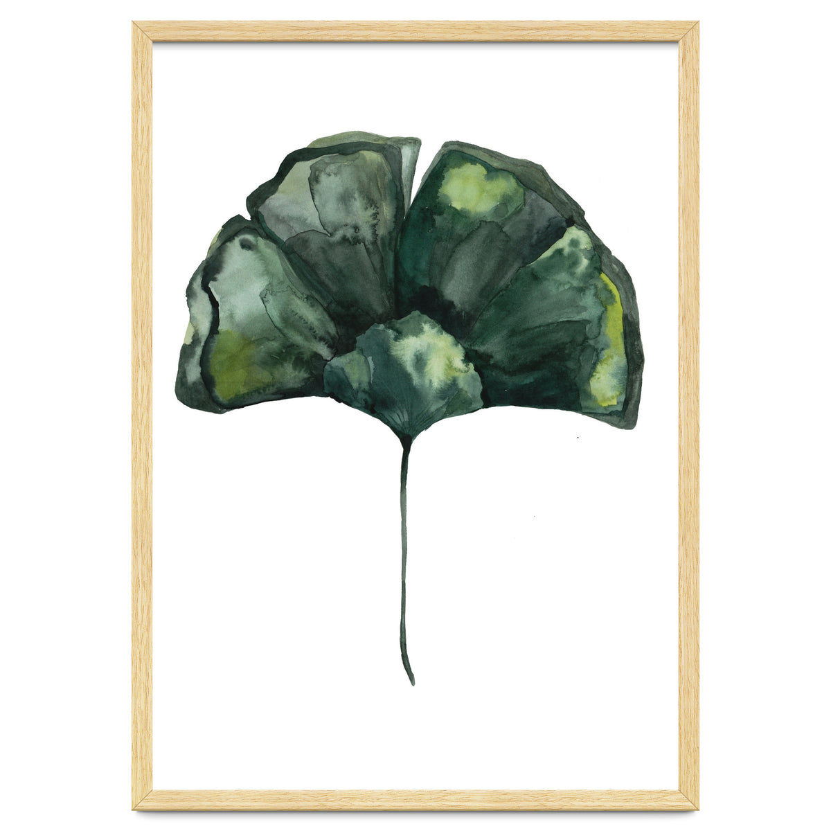 Botanical Illustration Ginko