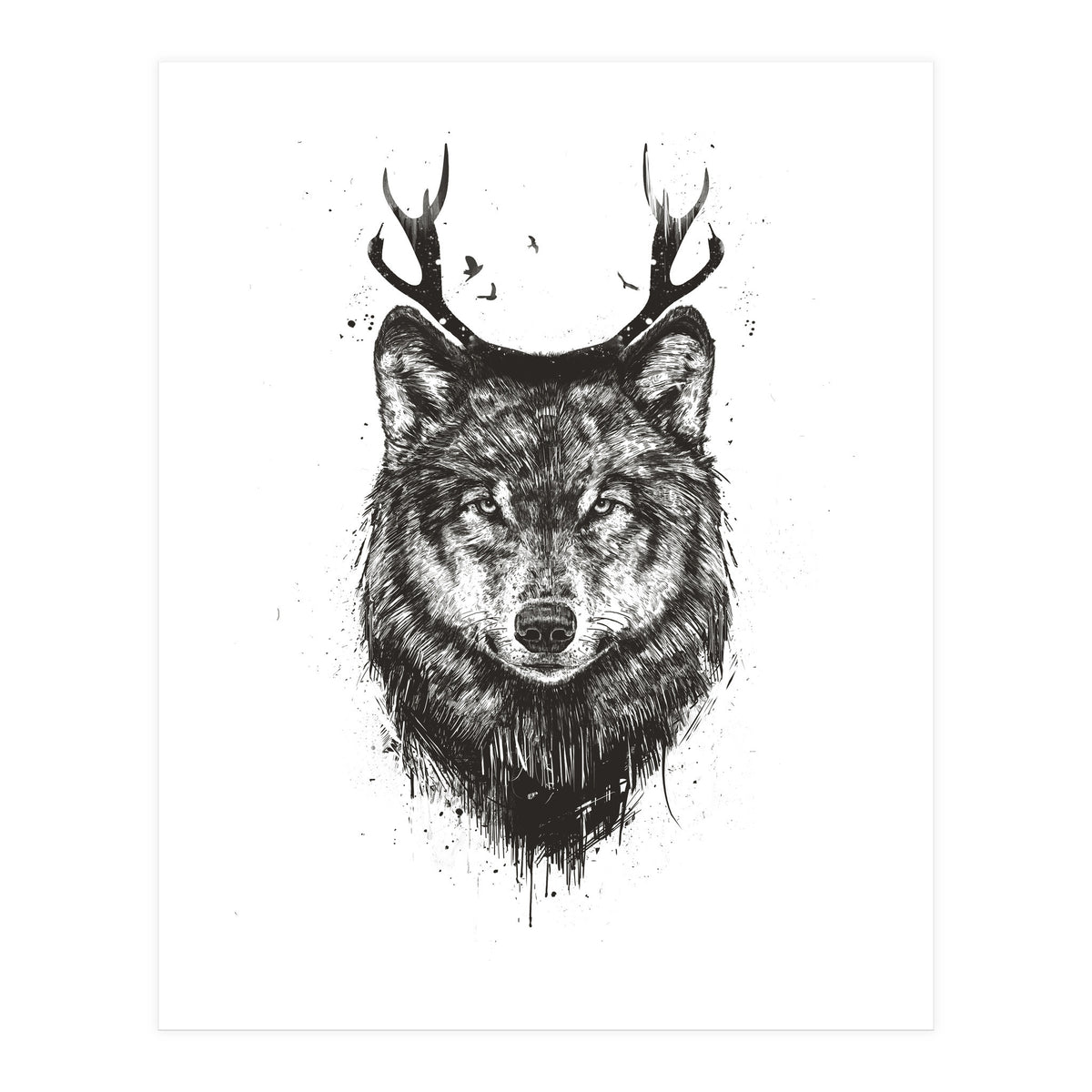 Deer Wolf Bw (Print Only)