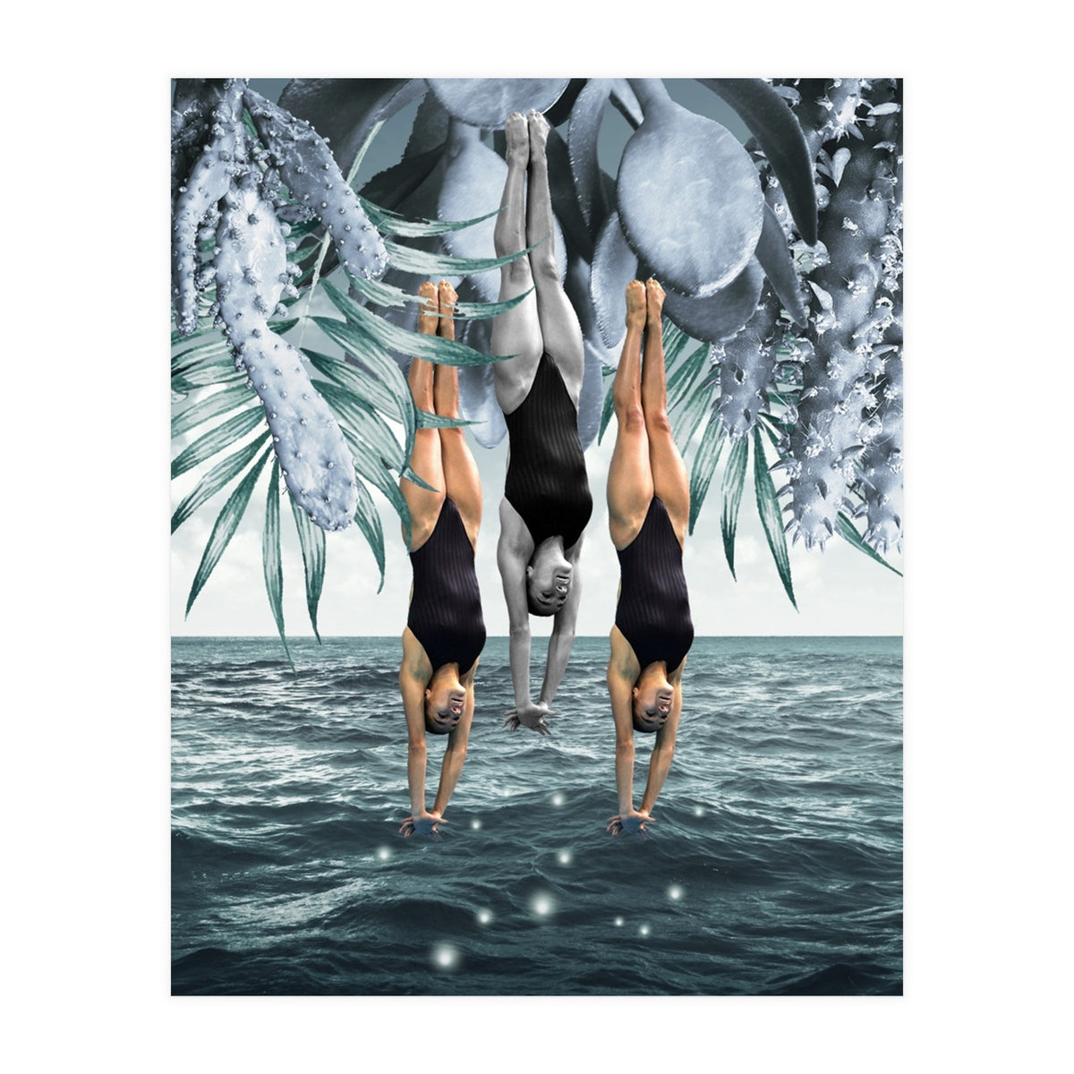 Dive Into (Print Only)