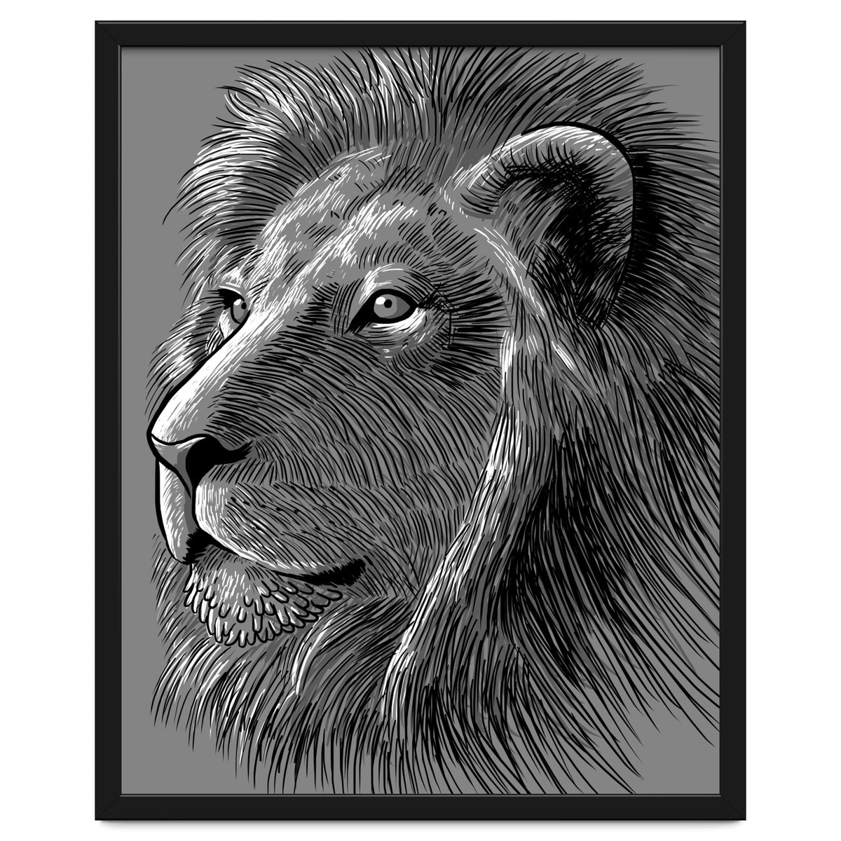 Sketch Lion
