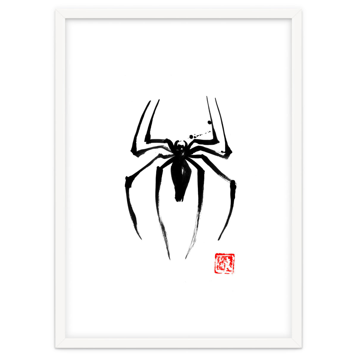 Spider