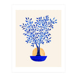 Indigo Ficus Sunrise (Print Only) thumbnail