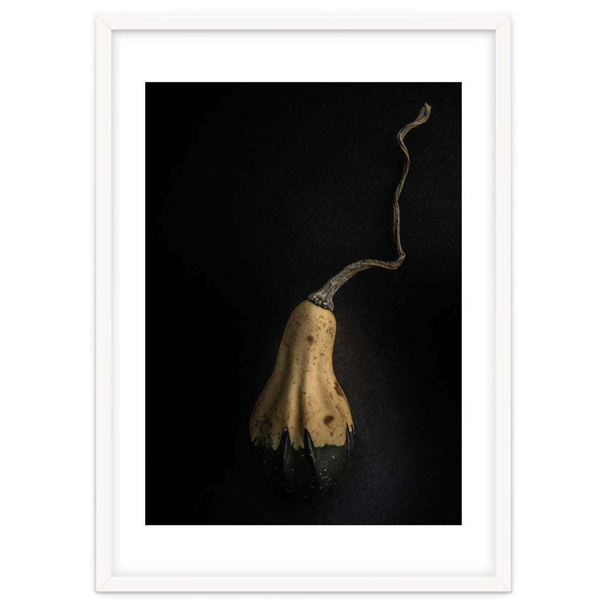 Gourds No 12 Color Version